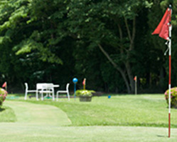 ハイスコアやったね！